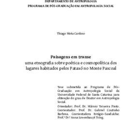Imagem padrão