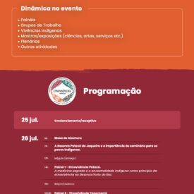 Imagem padrão