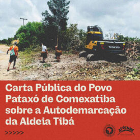 Imagem padrão