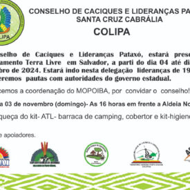 Imagem padrão