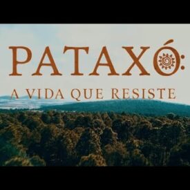 Imagem padrão