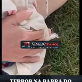 Imagem padrão