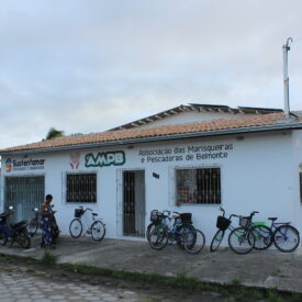 Imagem padrão