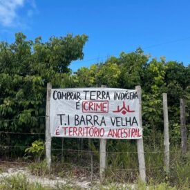 Imagem padrão