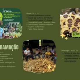 Imagem padrão