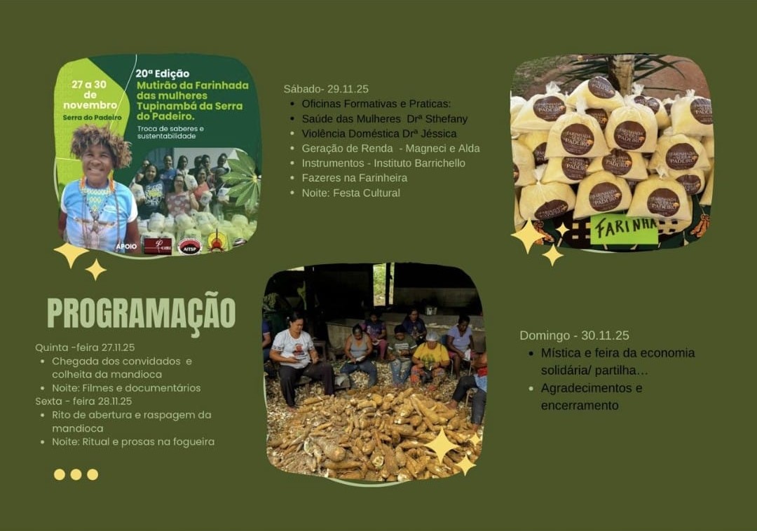 Card de divulgação da 20ª edição do Mutirão da Farinhada das Mulheres Tupinambá da Serra do Padeiro, com fundo verde-oliva e elementos gráficos em tons de amarelo e verde. No canto superior esquerdo, há um cartaz informando que o evento acontece de 27 a 30 de novembro, na Serra do Padeiro, com o tema "Troca de saberes e sustentabilidade". O cartaz inclui a fotografia de uma mulher indígena sorrindo, vestindo camiseta azul e colares tradicionais, além de uma foto de um grupo de mulheres e homens ao lado de produtos da farinhada. No canto superior direito, há uma fotografia de diversos pacotes de farinha artesanal identificados como "Farinhada do Padeiro". Na parte inferior central, aparece uma fotografia de várias mulheres reunidas em uma casa de farinha, sentadas ao redor de uma grande quantidade de mandiocas recém-colhidas. O centro da imagem traz o título "Programação", seguido das atividades distribuídas por dia: chegada dos convidados, colheita da mandioca, filmes e documentários, rito de abertura, raspagem da mandioca, oficinas sobre saúde das mulheres, violência doméstica, geração de renda, instrumentos, fazeres na farinheira, festa cultural, mística, feira da economia solidária e encerramento. Pequenos ícones decorativos em forma de estrelas amarelas aparecem ao redor das fotografias.