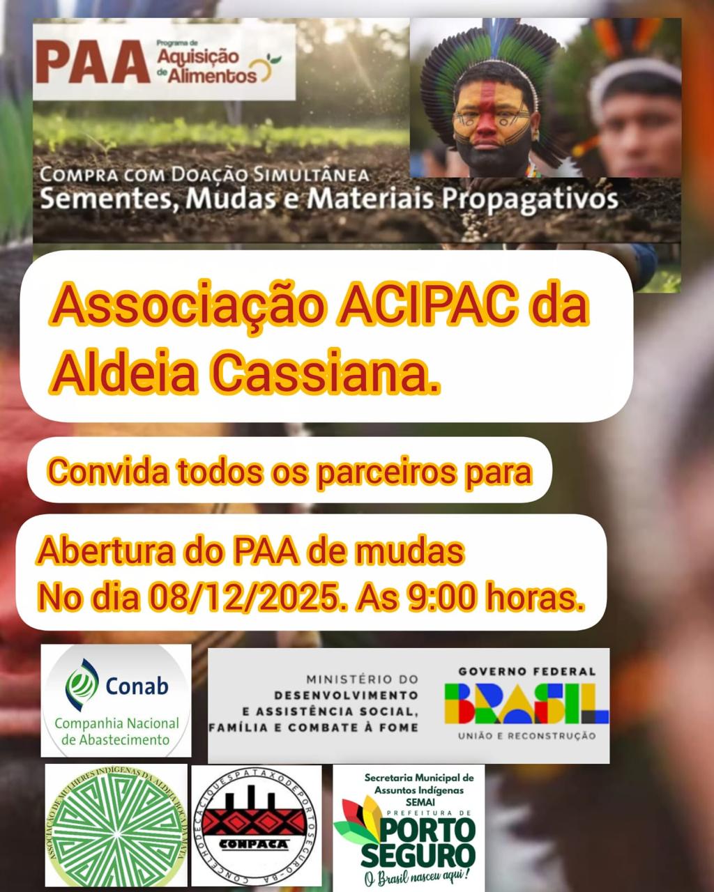 Card de divulgação da Associação ACIPAC da Aldeia Cassiana sobre a abertura do Programa de Aquisição de Alimentos (PAA) na modalidade de compra com doação simultânea de sementes, mudas e materiais propagativos. Na parte superior, aparece a logomarca do PAA e, ao lado, a fotografia de uma pessoa indígena com cocar de penas, pinturas corporais vermelha e preta no rosto e expressão séria; ao fundo, outra pessoa indígena aparece desfocada. Em destaque, há caixas brancas com cantos arredondados contendo o texto: "Associação ACIPAC da Aldeia Cassiana", "Convida todos os parceiros para" e "Abertura do PAA de mudas. No dia 08/12/2025, às 9:00 horas". Na parte inferior, estão os logotipos da Conab (Companhia Nacional de Abastecimento), do Ministério do Desenvolvimento e Assistência Social, Família e Combate à Fome, do Governo Federal – Brasil, União e Reconstrução, além das marcas da Associação das Mulheres Indígenas da Aldeia Cassiana, da COOIPAC (Cooperativa Indígena Pataxó de Porto Seguro, Cabrália e Coroa Vermelha) e da Secretaria Municipal de Assuntos Indígenas (SEMAI) da Prefeitura de Porto Seguro.
