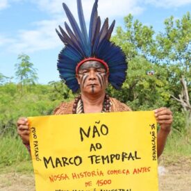 Imagem padrão