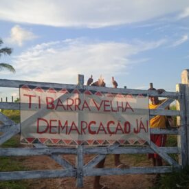 Imagem padrão