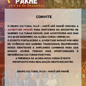 Imagem padrão