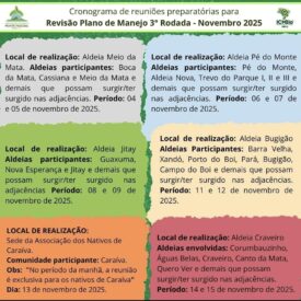 Imagem padrão