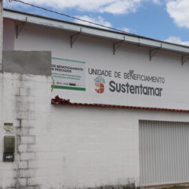 Imagem padrão