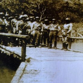 Imagem padrão