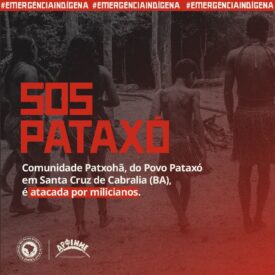 Imagem padrão