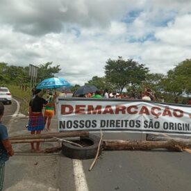 Imagem padrão