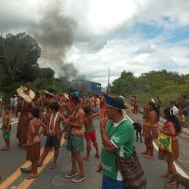Imagem padrão