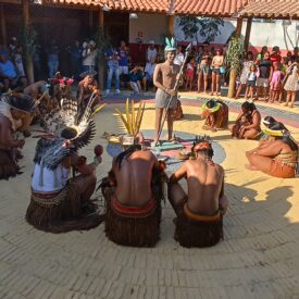 Imagem padrão
