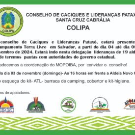 Imagem padrão