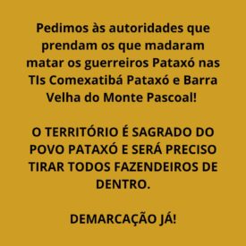 Imagem padrão